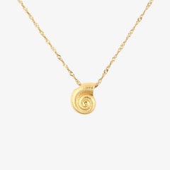 Seashell Pendant Necklace